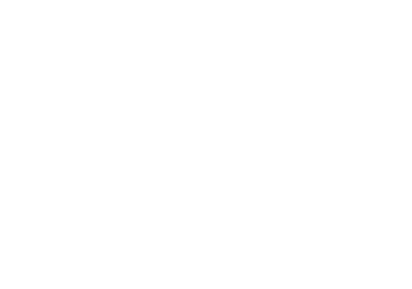 Advanced Background Check, Inc.