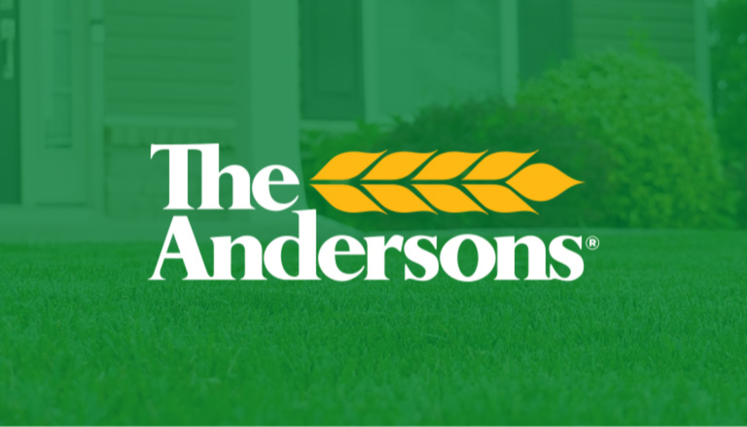 Case Study: The Andersons